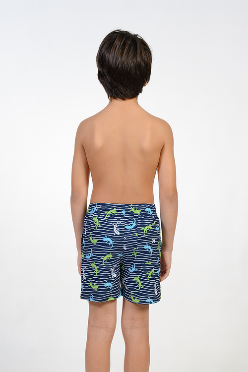 Boys Printed Swim Shorts