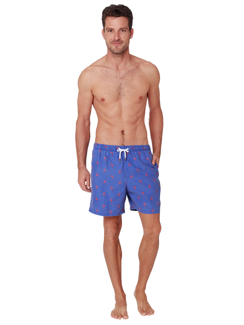 Men's Printed & Washed Shorts