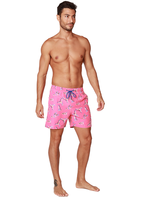 Men's Board Shorts in amazingly fun prints