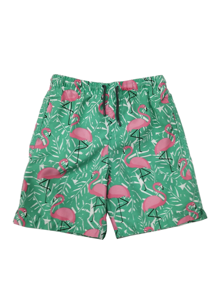 CKLS25 Boy's Swim Trunks in a flamingo and fern print