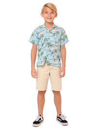 Hawaiian theme shirts for boys