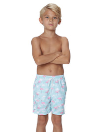 Boys Swim Shorts