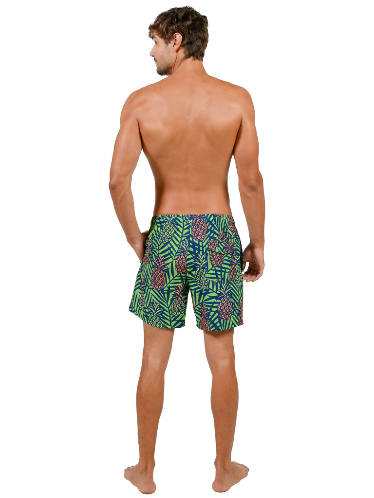 MS45-785 "Ombre Pineapple" shorts, back view